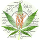 Illustration for article titled Scientists Discover What Your Brain Looks Like When Youre on Weed